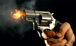 വീടിന് മുന്നില്‍ ബൈക്ക് വെച്ചതിനെ ചൊല്ലി തര്‍ക്കം ; ആലുവയില്‍ അനുജന്‍ ജേഷ്ഠനെ വെടിവെച്ചു കൊന്നു