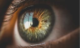 യുവതിയുടെ കണ്ണില്‍ 15 സെന്റിമീറ്ററലധികം നീളമുള്ള വിര: പുറത്തെടുത്ത് വിദഗ്ധ ഡോക്ടര്‍ 
