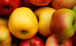 ആപ്പിൾ വാങ്ങാൻ ദില്ലിയിലെത്തിയ പശ്ചിമബംഗാള്‍ സ്വദേശിയെ സുഹൃത്ത് മോചനദ്രവ്യത്തിനായി ​ തട്ടിക്കൊണ്ടു പോയി