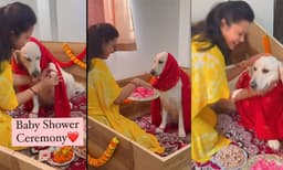 പുതിയ അതിഥിയ്ക്കായി ഞങ്ങള്‍ തയ്യാര്‍; ഗര്‍ഭിണിയായ നായയുടെ ബേബി ഷവര്‍ ആഘോഷമാക്കി ഉടമസ്ഥന്‍; വീഡിയോ വൈറല്‍