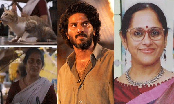 കൊത്ത രാജുവിനെ കൊന്ന് പൂച്ചയെ രക്ഷിച്ച കാളിക്കുട്ടിയെ തെറിപറയാന്‍ എത്തുന്നവരുടെ ശ്രദ്ധയ്ക്ക് ; പ്രതികരിച്ച് സജിത മഠത്തില്‍
