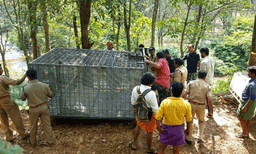 അഞ്ചു മാസം മുമ്പ് കാട്ടുപോത്ത്, പിന്നാലെ പുലി, ആന ഇപ്പോള്‍ കടുവയും... ; തേക്കടിയോട് അതിര്‍ത്തി പങ്കിടുന്നതോ സമീപത്തുള്ളതോ ആയ പഞ്ചായത്തുകളില്‍ വന്യജീവി ആക്രമണങ്ങള്‍