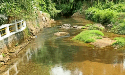 അമോണിയ ചേര്‍ത്ത  റബര്‍മിശ്രിതം കയറ്റിവന്ന ടാങ്കര്‍ ലോറി മറിഞ്ഞു ;  15 കിലോമീറ്ററിലേറെ മീനച്ചിലാര്‍ വരെ തോട് മലിനപ്പെട്ടു ; വെള്ളത്തിന് പാല്‍ നിറമായി, മീനുകളും ചത്തുപൊങ്ങി