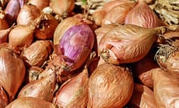 സംസ്ഥാനത്ത് ഉളളി വിലയില്‍ വര്‍ദ്ധന; വെളുത്തുള്ളി കിലോയ്ക്ക് 200 രൂപ
