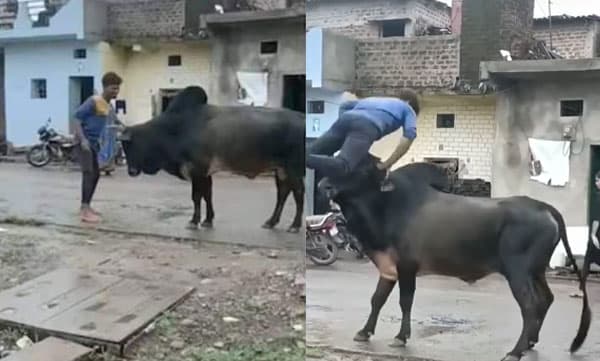 
മദ്യലഹിരിയില്‍ കാളയ്ക്കു മുന്നില്‍ നിന്ന്  യുവാവിന്റെ അഭ്യാസ പ്രകടനം: പിന്നെ സംഭവിച്ചത്... ഞെട്ടിക്കുന്ന വീഡിയോ വൈറല്‍

