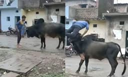 
മദ്യലഹിരിയില്‍ കാളയ്ക്കു മുന്നില്‍ നിന്ന്  യുവാവിന്റെ അഭ്യാസ പ്രകടനം: പിന്നെ സംഭവിച്ചത്... ഞെട്ടിക്കുന്ന വീഡിയോ വൈറല്‍

