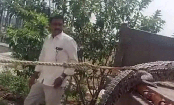 വൈദ്യുതിമുടക്കത്തിനെതിരെ മുതലയേയും കൊണ്ട്   പ്രതിഷേധമുയര്‍ത്തി നാട്ടുകാര്‍