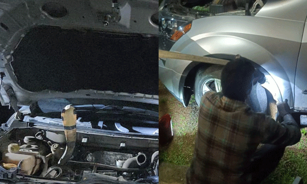 ഗവിയില്‍ പോയ കുടുംബത്തിനൊപ്പം കാറില്‍ കയറി രാജവെമ്പാല; 200 കിലോമീറ്റര്‍ നാടുചുറ്റിയശേഷം പിടികൂടിയത് വാവ സുരേഷ് 
