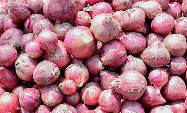 സംസ്ഥാനത്ത് കത്തിക്കയറി ഉളളി വില