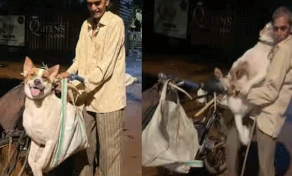 70 വയസ്സുള്ള ഗാർഡിന് കാവൽക്കാരനായി നായ