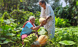 ഗവ.ഹൈസ്‌കൂളില്‍ നിന്നും 2006 ല്‍ വിരമിച്ചു; അതിന് ശേഷം മണ്ണിലേക്കിറങ്ങി ; ഇപ്പോള്‍ മേരിടീച്ചര്‍ നല്ലൊരു കര്‍ഷക ; വീട്ടിലേക്ക് ആവശ്യമായതെല്ലാം സ്വന്തമായി കൃഷിചെയ്ത് ഉത്പാദിപ്പിക്കുന്നു