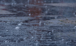 മഴ കനത്തതോടെ തമിഴ്നാട്ടില്‍ വിദ്യാഭ്യാസ സ്ഥാപനങ്ങള്‍ക്ക് അവധി പ്രഖ്യാപിച്ച് സര്‍ക്കാര്‍

