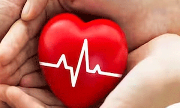  ഇന്ത്യയില്‍ ജീവിച്ചിരിക്കെ അവയവം ദാനം ചെയ്യുന്ന അഞ്ചില്‍ നാല് പേരും സ്ത്രീകള്‍; പഠന റിപ്പോർട്ട്‌ പുറത്ത്