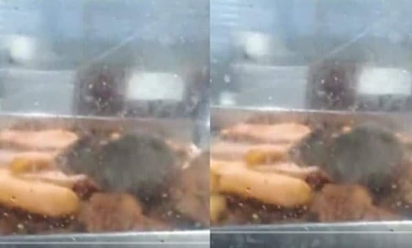 ആശുപത്രി കാന്റീനിലെ ചില്ലലമാരയില്‍ കയറി ഭക്ഷണം തിന്നുന്ന എലി: ദൃശ്യങ്ങള്‍ പുറത്തുവന്നതിന് പിന്നാലെ കാന്റീന്‍ അടച്ചുപൂട്ടി 

