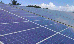 ബില്ല് കുത്തനെ കൂടിയതോടെ അനര്‍ട്ടിന്റെ പുരപ്പുറ സൗരോര്‍ജ പരിപാടി സൗരതേജസിന് അപേക്ഷകര്‍ കൂടി ; വാങ്ങുന്ന വൈദ്യൂതി ലാഭിക്കാം ; മിച്ചമുണ്ടെങ്കില്‍ വൈദ്യൂതി വകുപ്പിന് തന്നെ കറന്റ് വില്‍ക്കാം