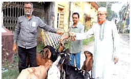 പുല്ല് തിന്നതിന് അറസ്റ്റിലായ ആടുകള്‍ക്ക് ഒരു വര്‍ഷത്തിനു ശേഷം ജയില്‍ മോചനം