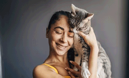 പൂച്ചയെ വളര്‍ത്താനുളള  34 വര്‍ഷത്തെ വിലക്ക് നീക്കി സിംഗപ്പൂര്‍: വ്യവസ്ഥ ലംക്ഷിച്ചാല്‍ വന്‍ പിഴ