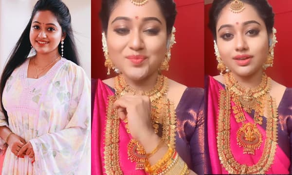 വിവാഹവേഷത്തിൽ അണിഞ്ഞൊരുങ്ങി കുടുംബപ്രേക്ഷകരുടെ സ്വന്തം മേഘ്‌ന, വീഡിയോ വൈറൽ 