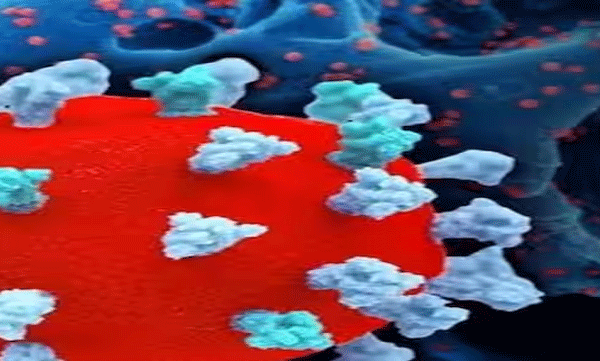 കോവിഡ് വ്യാപനം; ആശുപത്രികളില്‍ മാസ്ക് ഉപയോഗിക്കണമെന്ന് ആരോഗ്യമന്ത്രിയുടെ നിര്‍ദ്ദേശം