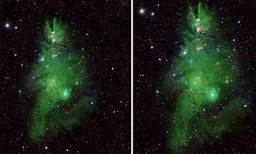 കോസ്മിക് ക്രിസ്മസ് ട്രീയുടെ ചിത്രം പങ്കുവെച്ച് ബഹിരാകാശ ഗവേഷണ ഏജന്‍സിയായ നാസ