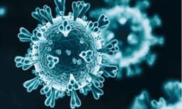 കോവിഡ്: 752 പുതിയ കേസുകളും 4 മരണവും