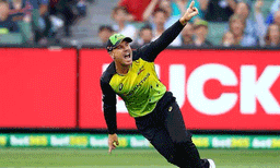 ഡേവിഡ് വാര്‍ണര്‍ ഏകദിനക്രിക്കറ്റില്‍ നിന്നും വിരമിച്ചു ; ബുധനാഴ്ച നടക്കുന്ന മത്സരത്തോടെ ടെസ്റ്റില്‍ നിന്നും പടിയിറങ്ങും