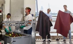 ഈ ഐഡിയ കൊള്ളാല്ലോ...:മാങ്ങയില്‍ നിന്നും ലെതര്‍ നെയ്‌ത്തെടുത്ത് യുവാക്കള്‍, വൈറലായി വീഡിയോ 
