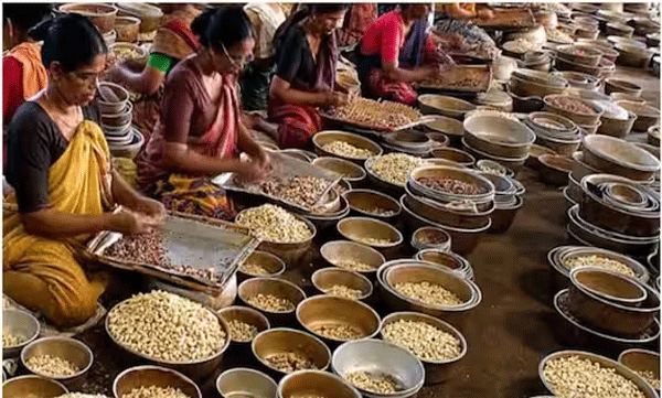 പ്രീമിയം ബ്രാന്റിൽ കശുവണ്ടി വിപണനം ; വിദഗ്ദ സമിതി  നിർദേശങ്ങൾ നല്‍കി