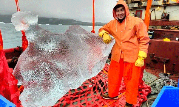 ആര്‍ട്ടിക് സമുദ്രത്തിലെ തനി നാടന്‍ ഐസ് ദുബായിലേക്ക് ; ഒരുലക്ഷം വര്‍ഷം പഴക്കമുള്ള ഹിമാനിയില്‍ നിന്നും ഐസ് കട്ടകള്‍