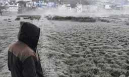 മരംകോച്ചുന്ന തണുപ്പില്‍ വിറച്ച് ഊട്ടി; താപനില പൂജ്യത്തിന് അരികില്‍; കാര്‍ഷിക മേഖലയെ ബാധിച്ചതായി കര്‍ഷകര്‍