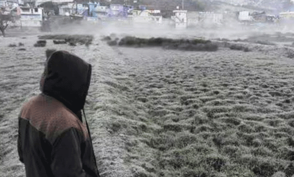 മസിനഗുഡി വഴി ഊട്ടിക്ക് പോകാന്‍ വരട്ടെ; അതിശൈത്യത്തില്‍ വിറങ്ങളിച്ച്  നീലഗിരി; ആരോഗ്യ പ്രശ്‌നങ്ങളാല്‍ ബുദ്ധിമുട്ടി പ്രദേശവാസികള്‍