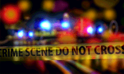 പാലക്കാട്  ഭർത്താവ് ഭാര്യയെ വിറകുകൊള്ളികൊണ്ട് തലക്കടിച്ച് കൊലപ്പെടുത്തി