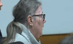 യുഎസ്സില്‍ തോക്കുപയോഗിച്ച് 15 കാരന്‍ കൊന്നത് നാല് പേരെ: അമ്മയെ വിചാരണ ചെയ്ത് കോടതി 
