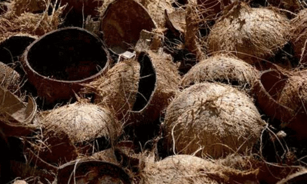 തൊഴിലിടങ്ങളില്‍ വിവേചനം; കൃഷിപണിക്കെത്തിയ ദളിത് സ്ത്രീകള്‍ക്ക് ചിരട്ടയില്‍ ചായ നല്‍കിയ രണ്ട് പേര്‍ അറസ്റ്റില്‍