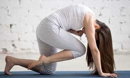 നട്ടെല്ലിനെ ബലപ്പെടുത്താന്‍ വ്യാഘ്രാസനം

