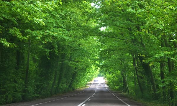 POEM: The black silky way