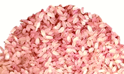 'കേരളാ അരി' ഈവര്‍ഷം വിപണിയില്‍ ; പാലക്കാട്ടും ചെങ്ങന്നൂരും മില്‍ നിര്‍മാണം പുരോഗമിക്കുന്നു