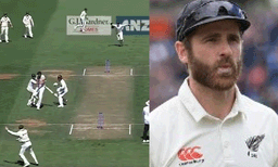 വില്‍ യംഗുമായി കൂട്ടിയിടിച്ചു വീണു റണ്ണൗട്ടായി ; കെയ്ന്‍ വില്യംസന്റെ 12 വര്‍ഷത്തെ കരിയറില്‍ ആദ്യ റണ്ണൗട്ട്