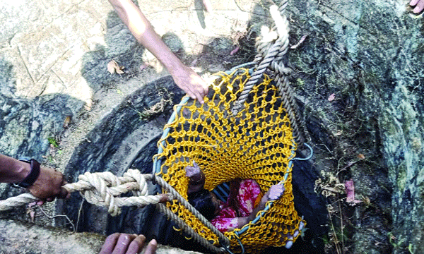 കാട്ടുപന്നിയെ ആക്രമണത്തില്‍ ഭയന്നോടി വൃദ്ധ അടുത്ത വീട്ടിലെ കിണറ്റില്‍ വീണു ; 50 അടി താഴ്ചയില്‍ അഞ്ചടി വെള്ളത്തില്‍ നിന്നും വീട്ടമ്മയെ കണ്ടെത്തി രക്ഷിച്ചത് 20 മണിക്കൂറിന് ശേഷം