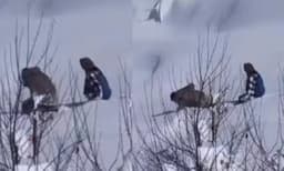 എല്ലാം എന്റെ കുഞ്ഞനുജത്തിയ്ക്കായ്...:മഞ്ഞുമൂടിയ താഴ്‌വരയില്‍ കിലോമീറ്ററുകളോളം സഹോദരിക്ക് വഴിയൊരുക്കി കൂടെ നടന്ന് സഹോദരന്‍
