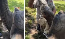 ഇവന്‍ ആള് സ്വീറ്റ്













































































































 ആന്‍ ബ്യൂട്ടിഫുള്‍ ആണ്:  കക്കിരി കഴിച്ച് 106 കാരനായ ആമ, കൗതുകമുണര്‍ത്തും ഈ വീഡിയോ 
