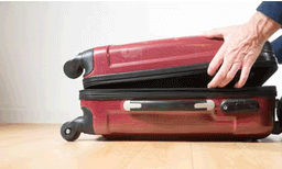 റാസല്‍ഖൈമ അന്താരാഷ്ട്ര വിമാനത്താവളത്തില്‍ രണ്ട് യാത്രക്കാരുടെ ബാഗുകളില്‍ ഒളിപ്പിച്ച് കടത്തിയ ലഹരിമരുന്ന് പിടികൂടി