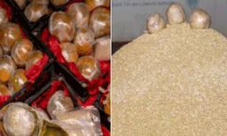  സൗദി കസ്റ്റംസ്  വന്‍ ലഹരിമരുന്ന് ശേഖരം പിടികൂടി