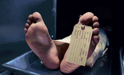 ബന്ധത്തില്‍ നിന്നും പിന്മാറാന്‍ കൂട്ടാക്കിയില്ല ; ഭോപ്പാലില്‍ മലയാളി നഴ്‌സിനെ കൊലപ്പെടുത്തിയത് കാമുകന്‍ ; ഇരുവരും തമ്മില്‍ അഞ്ചു വര്‍ഷമായി അടുപ്പത്തിലായിരുന്നുവെന്ന് പോലീസ് 