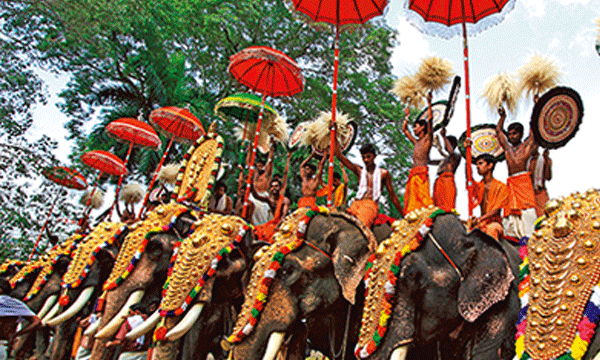 ആനയില്‍ നിന്നും 50 മീറ്റര്‍ അകലം വേണം ; തൃശൂര്‍പൂരത്തെ പ്രതിസന്ധിയിലാക്കി വനംവകുപ്പിന്റെ സര്‍ക്കുലറും 