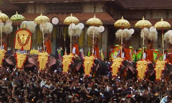 വിശ്വാസത്തേക്കാള്‍ പ്രാധാന്യം ആളുകളുടെ സുരക്ഷ് ; ആനകള്‍ നില്‍ക്കുന്ന ദൂരപരിധി 6 മീറ്ററാക്കി ഹൈക്കോടതി