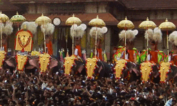 വിശ്വാസത്തേക്കാള്‍ പ്രാധാന്യം ആളുകളുടെ സുരക്ഷ് ; ആനകള്‍ നില്‍ക്കുന്ന ദൂരപരിധി 6 മീറ്ററാക്കി ഹൈക്കോടതി