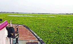 വിഷു ആഘോഷിക്കാന്‍ ആലപ്പുഴയില്‍ നിന്നും ബോട്ടുയാത്രയ്ക്ക് എത്തി ; പോളയില്‍ കുടുങ്ങി നിശ്ചലമായ ബോട്ടില്‍ കുടുങ്ങിയത് എട്ടു മണിക്കൂര്‍; രാത്രി കയറിയാവര്‍ കരയ്ക്കിറങ്ങിയത് പുലര്‍ച്ചെ മൂന്നരയോടെ