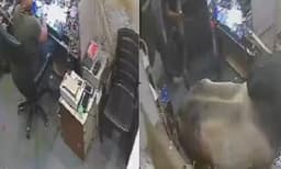 

കടയിലേക്ക് ഇടിച്ചുകയറി കൂറ്റന്‍ കാള, പരിഭ്രാന്തരായി തൊഴിലാളികള്‍: സിസിടിവി ദൃശ്യങ്ങള്‍ പുറത്ത് 


