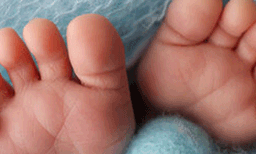 കൊച്ചിയില്‍ വീണ്ടും ശൗചാലയത്തില്‍ പ്രസവം ; കൊല്ലം സ്വദേശിയായ അവിവാഹിത ഹോസ്റ്റലിന്റെ ശൈചാലയത്തില്‍ പ്രസവിച്ചു ; 23 കാരിയേയും ആണ്‍കുഞ്ഞും ആശുപത്രിയില്‍